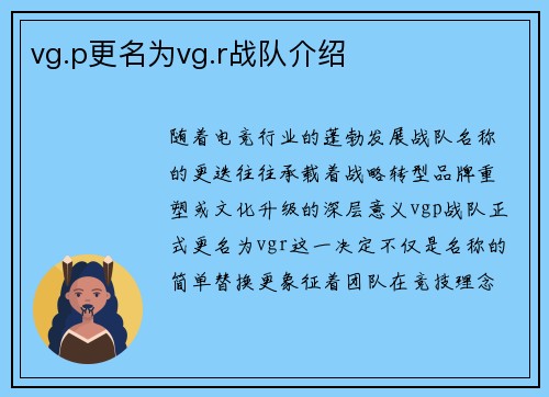 vg.p更名为vg.r战队介绍